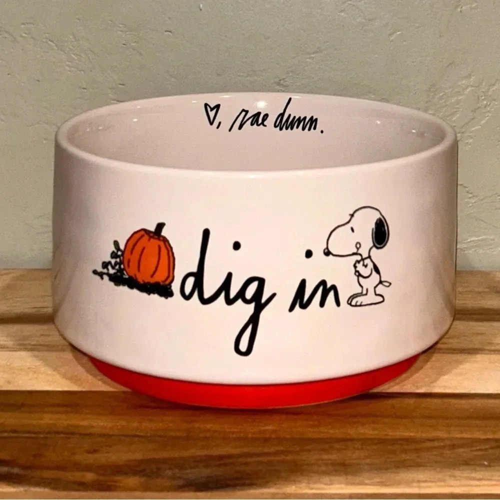Rae Dunn Peanuts Ceramic Dog Dish featuring Snoopy. Halloween pumpkins. NWTS